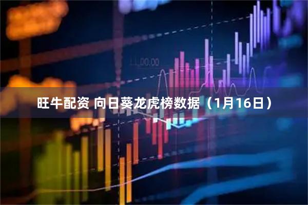 旺牛配资 向日葵龙虎榜数据（1月16日）