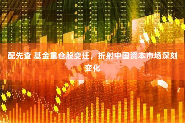 配先查 基金重仓股变迁，折射中国资本市场深刻变化