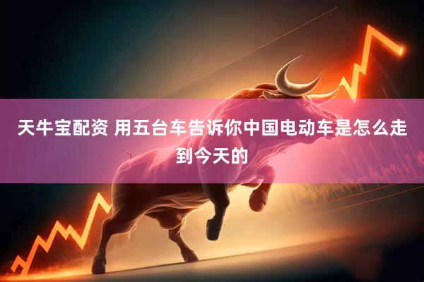 天牛宝配资 用五台车告诉你中国电动车是怎么走到今天的